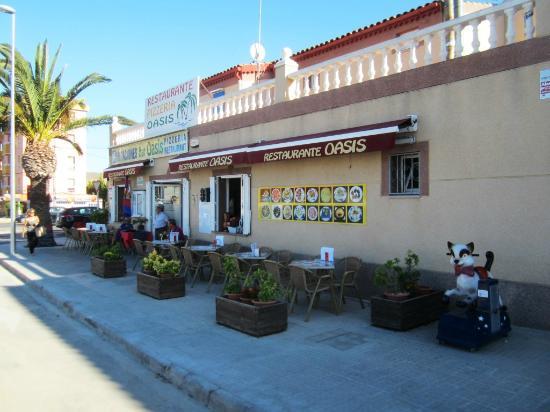 Oasis